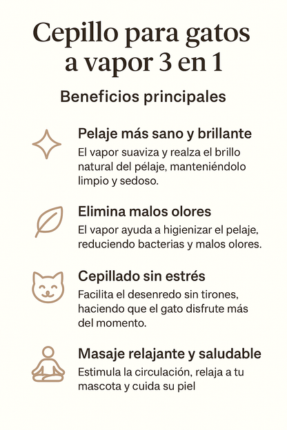 Cepillo de Vapor 3 en 1 | Aseo sin estrés 💖